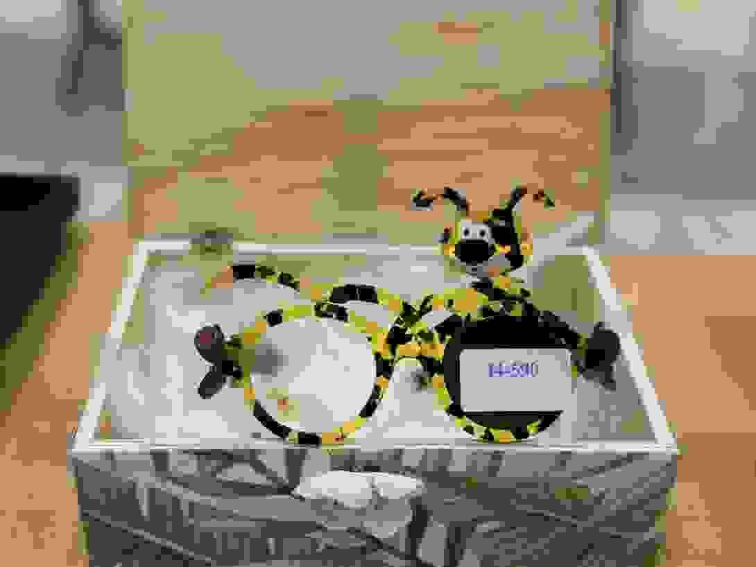 img_6755_test.jpg
