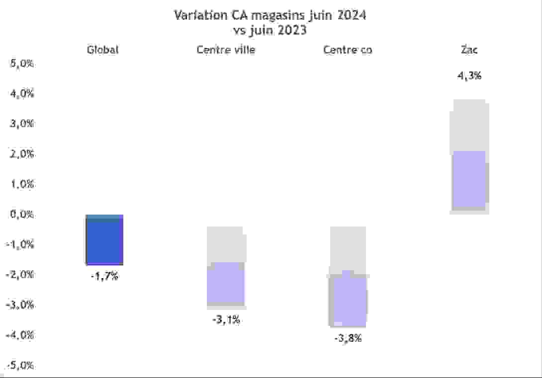 variation_ca_juin_2024.png