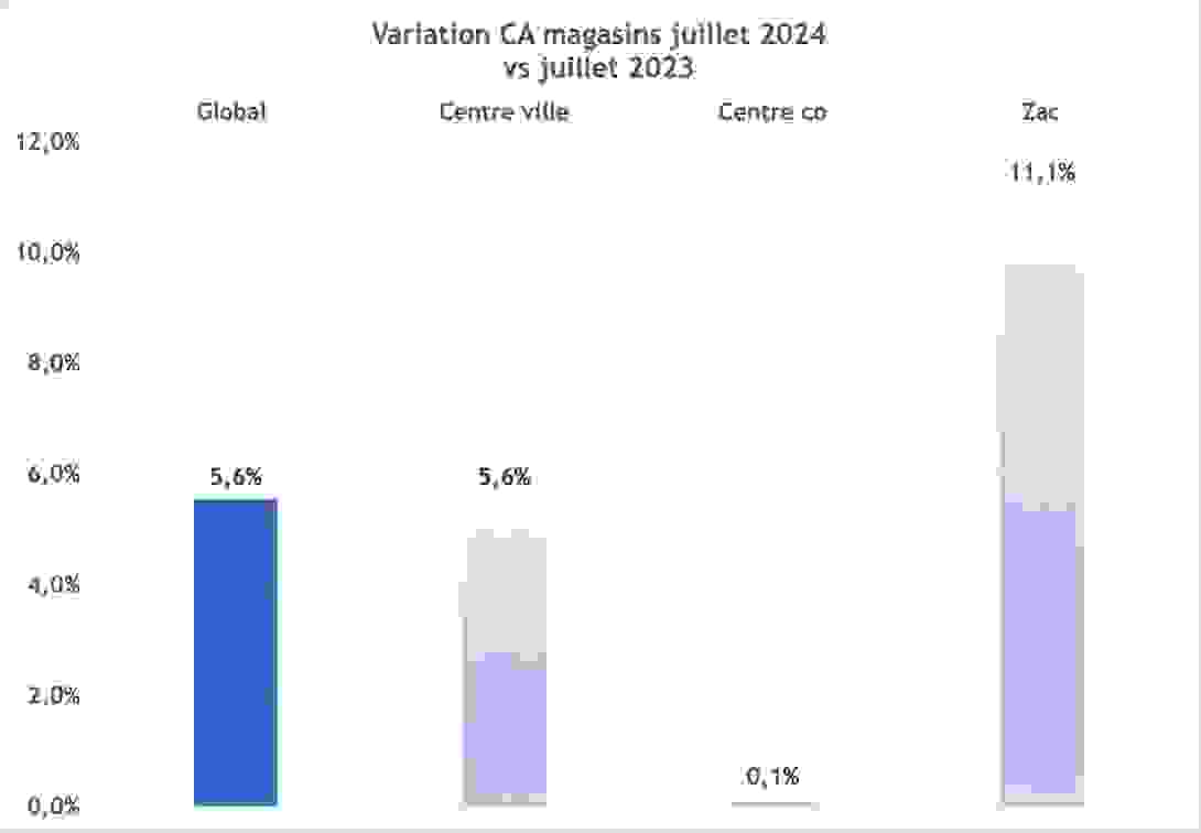 ca_juillet_2024_variation.png