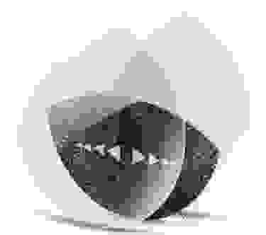 morrow_lentille.png