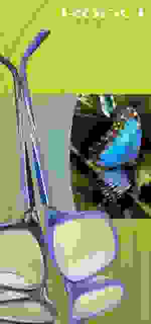 koali_aega_v300dpi_.jpg