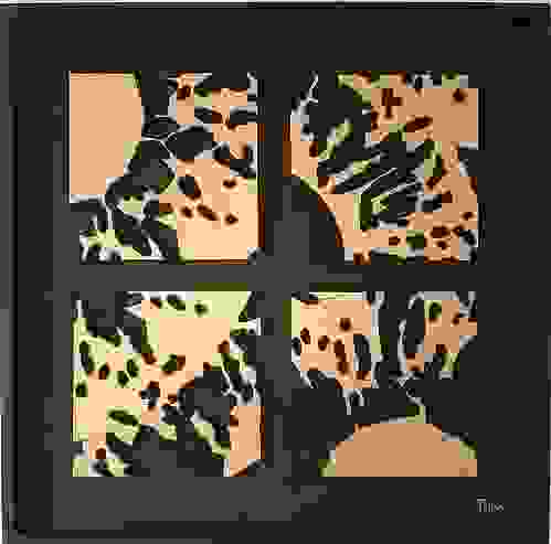 rayons_solaires.jpg