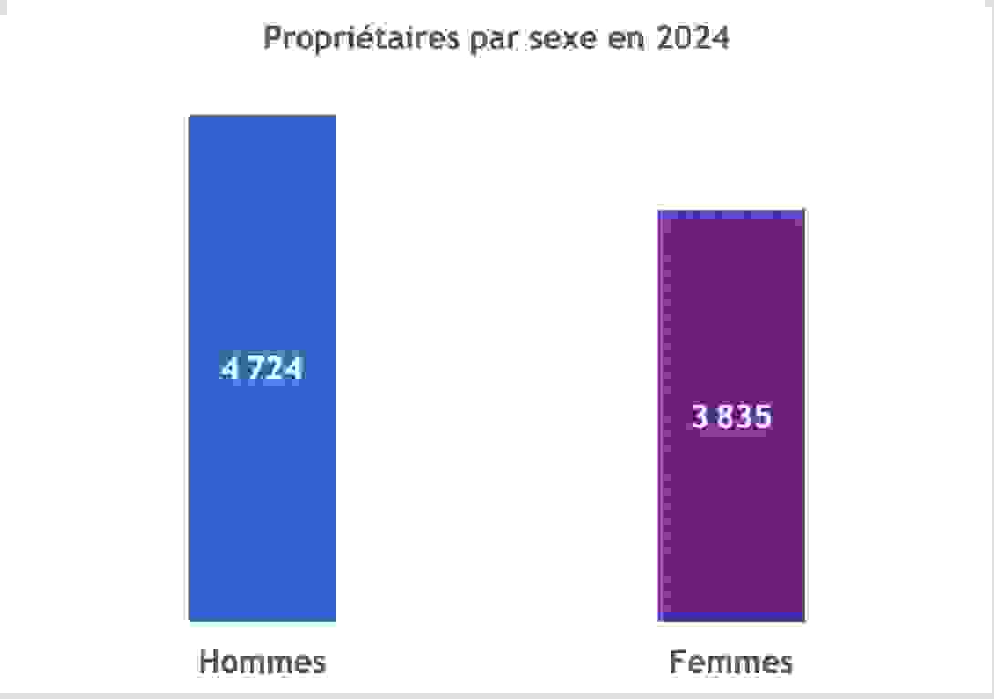 proprietaires_par_sexe.png