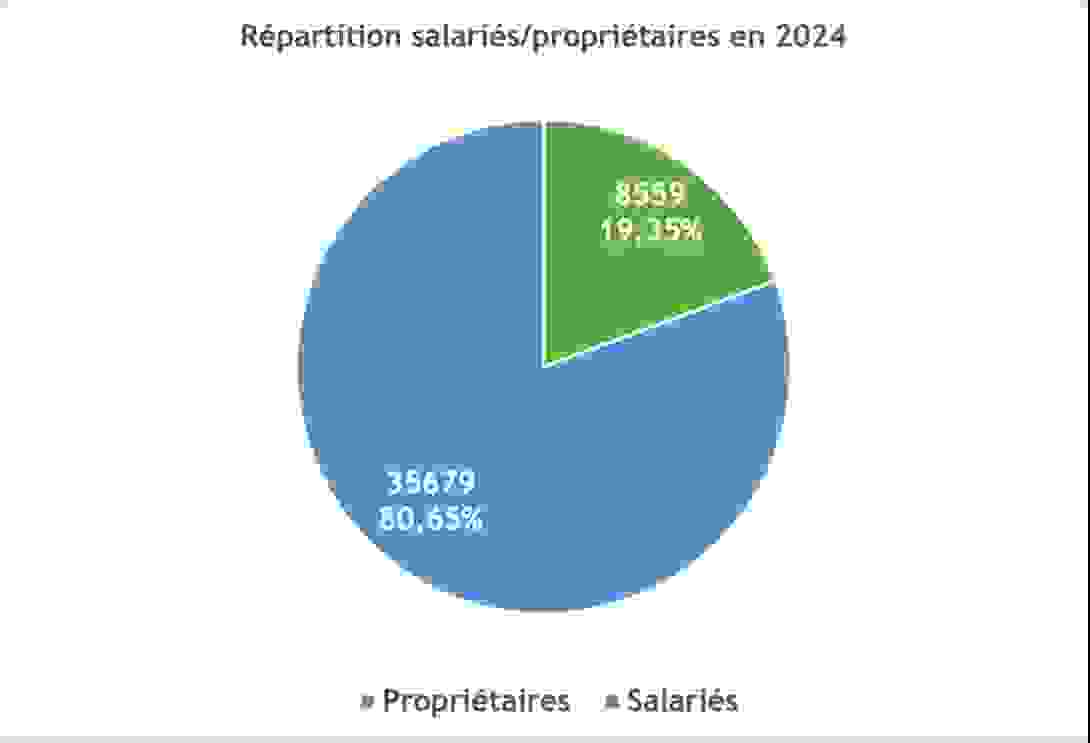 repartition_salaries_proprietaires.png