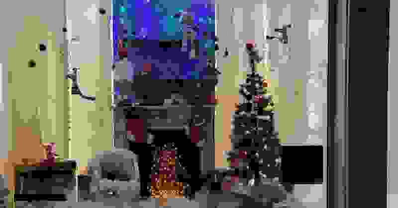 naturovue.png