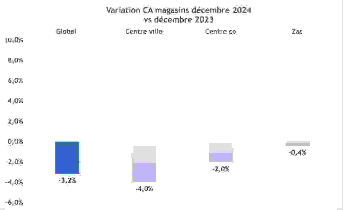 variation_ca_decembre_2024.png