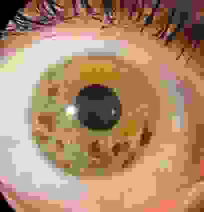 pigments_gravitationnels.jpg