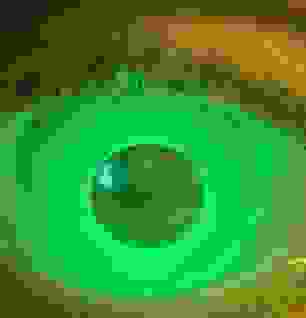 loeuf_au_plat.jpg