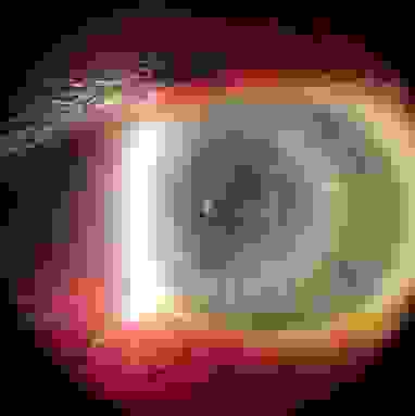 armagedon.jpg