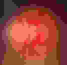 la_rose_invisible.jpg
