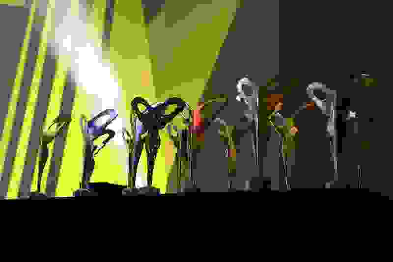 54012606561_19622bf054_c.jpg