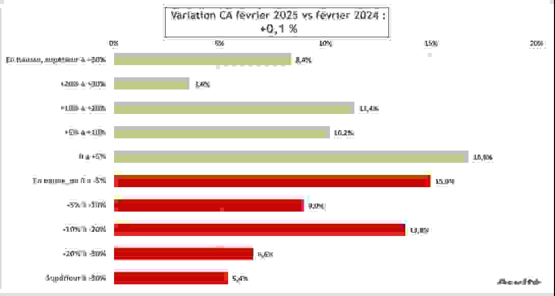 variation_ca_fevrier.png