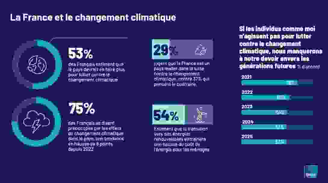 ipsos.jpg