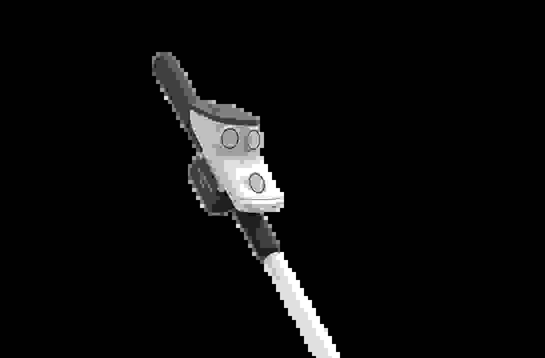 rango_sur_canne.png