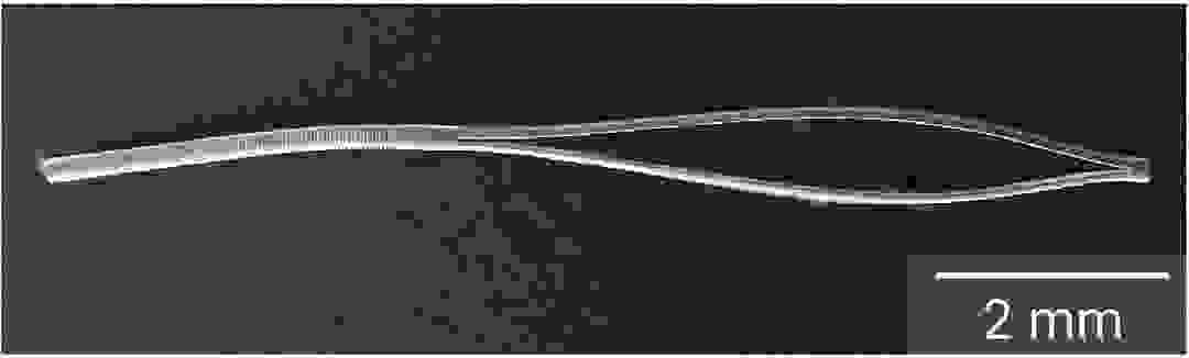 microstent1.jpg