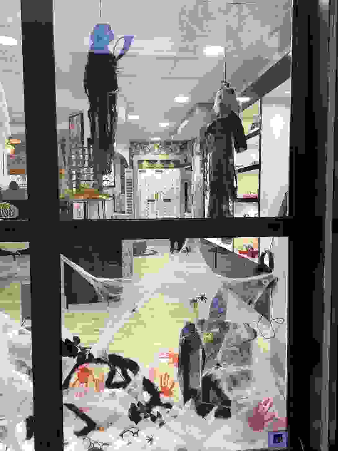 zenoptic.jpeg