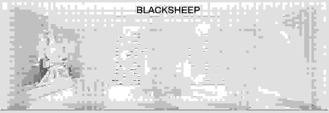 blacksheep.jpg