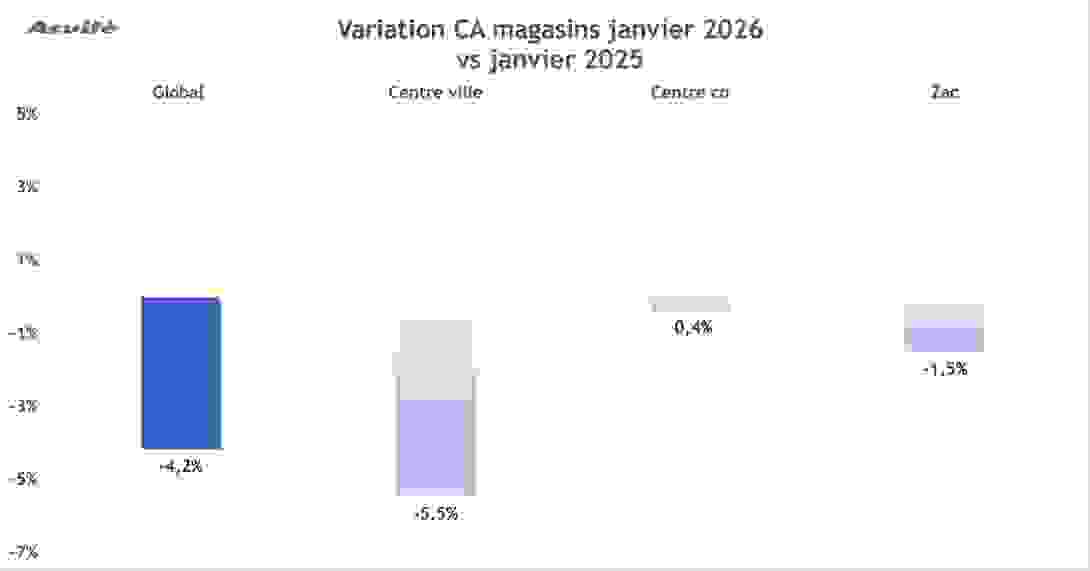 ca_janvier_2026_variation.png