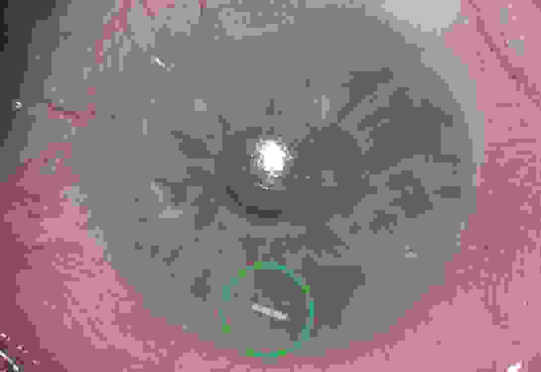 01222025_durysta.png