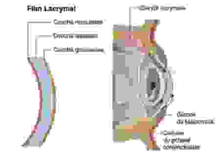eye_2_1.png
