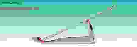 mp.png