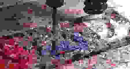 furcy.png