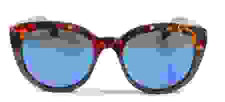 pardalis.png