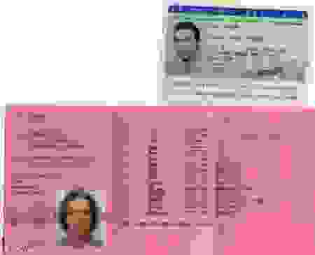 michele_cypiere_.png