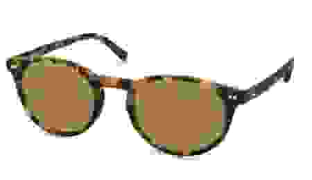 frankie.png
