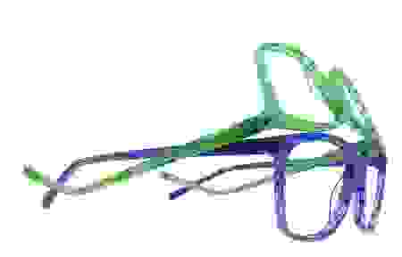 koali_clematis.jpg