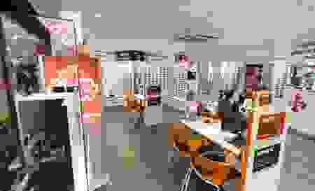 opticl2.png