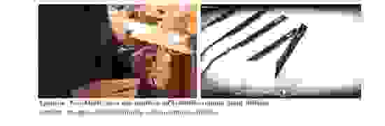 ff.png