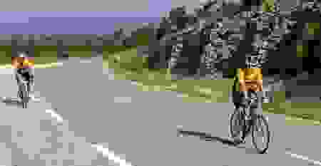 telethon2.png