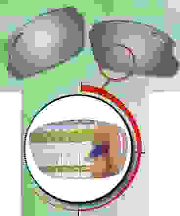 tifosi_02.png