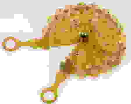 lorgnette3.png