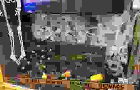 halloween6.png