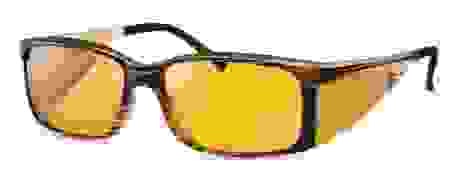 wellness.png