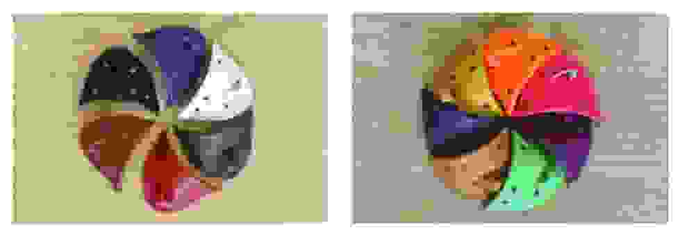 coques_kikies.png