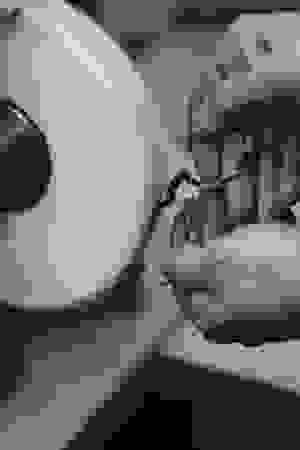 pantos_2.png