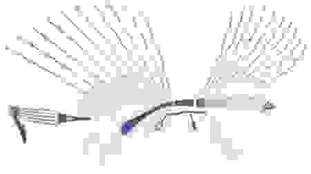 extravagansa.png