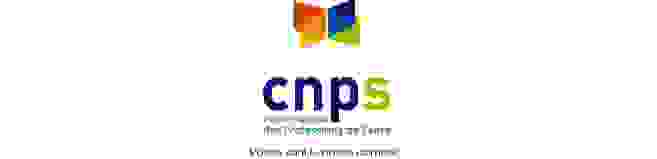 cnps2.png