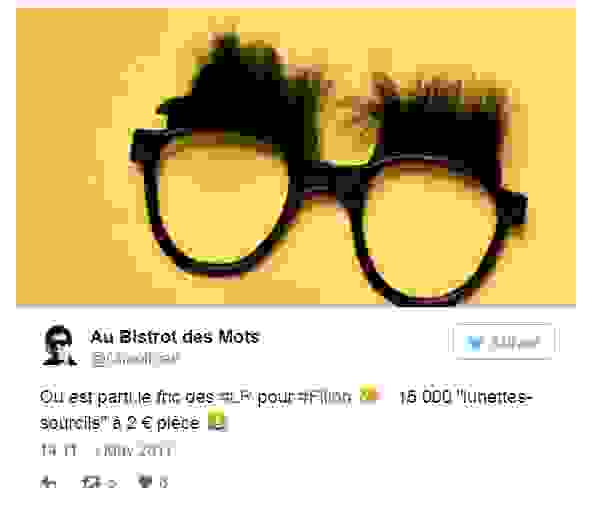 fillon_lunettes.png