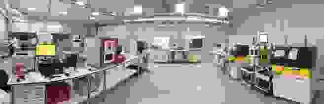 shamirnews.png