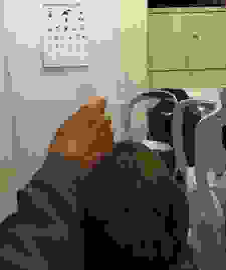 busdelavue3.png