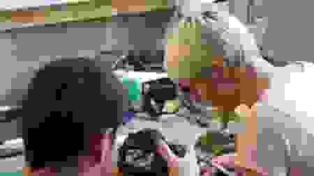 clotilde5.png