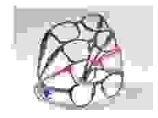 ellcie_healthy_2.png