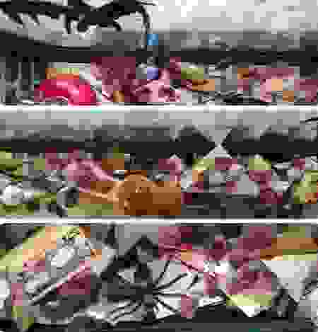 lelunetieropticien.png
