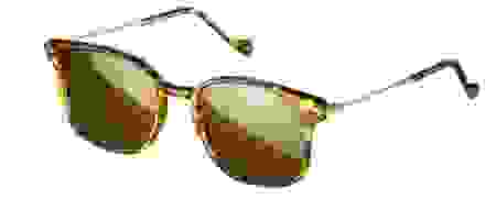 modelecervin.png