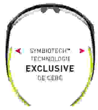 cebe_2017_2.png