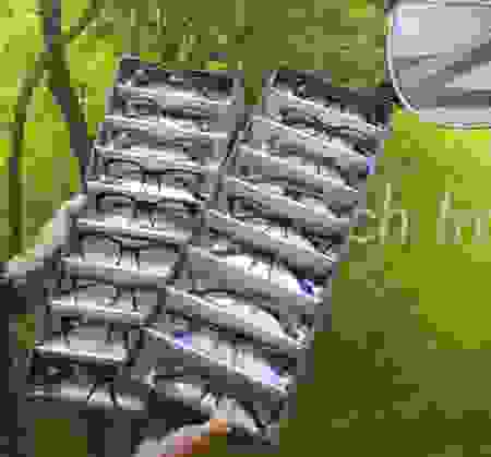 collectiondavidgreen.png
